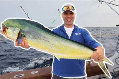 Deep Sea Fishing for BIG FISH!! (Sharks, Tuna, and Mahi All Day!!!)