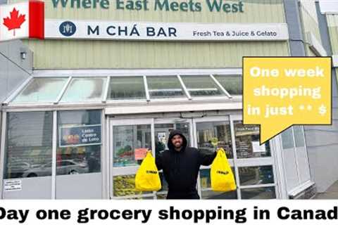 First grocery shopping in Canada 🇨🇦 || price || one week grocery shopping in just **||