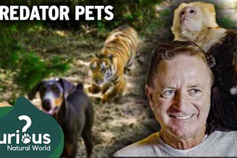 Behind the Chain Fence: Surprising Exotic Pets in Rural Nevada | Predator Pets