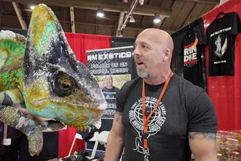 LARGEST PET SHOW IN THE WORLD | LA PET FAIR-REPTILE SUPER SHOW