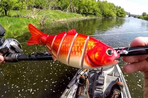 Goldfish Lure Fishing For A River BEAST!