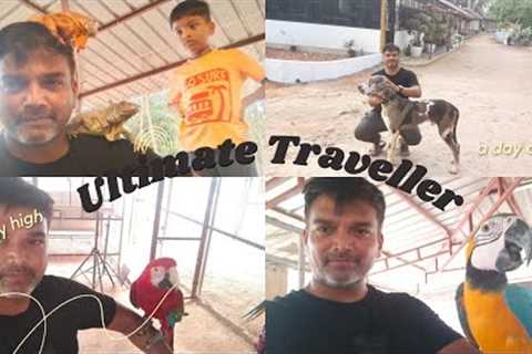 Pollachi PN Farm House | Exotic Birds &amp; Pet Animals | One day Outing | Birthday Celebrations