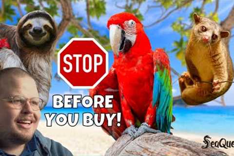 STOP! Watch This Before Buying Exotic Pets!