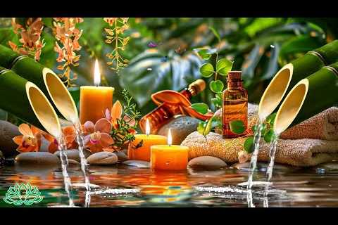 Healing Music for Anxiety Disorders, Reduce Stress | Bamboo Fountain, Meditation Music, Yoga, Zen