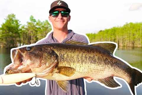 Catching BIG Bass on BIG TOPWATER! (Lake Fishing)