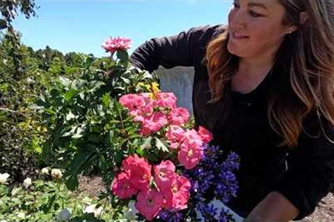 Using Some New 2025 Annuals in Projects! 🙌😍🌸 // Garden Answer