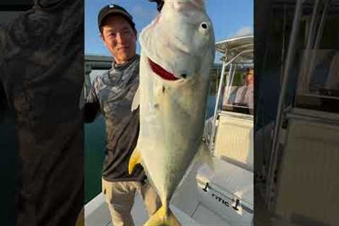 Dry Aged Fish Catch &amp; Cook