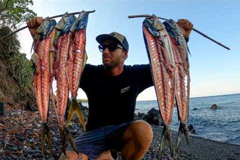 A solo camping CATCH AND COOK MISSION. Which fish taste better?