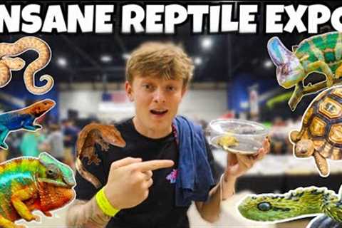 I SPENT OVER 1000$ AT THIS REPTILE SHOW!!  **INSANE**