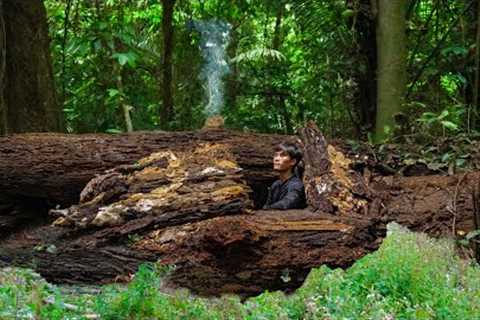 3 DAYS SOLO SURVIVAL: (NO FOOD, NO WATER)Survival Shelter in fallen tree trunks, Catch fish, Cooking