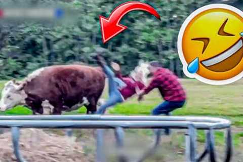 Best Fails of the week : Funniest Fails Compilation | Funny Videos 😂 - Part 25
