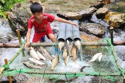 Bac_wandering boy's survival skills, using plastic pipes and nets to create a trap to catch carp.