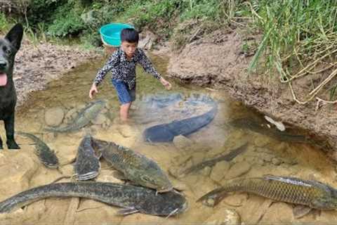 The inspiring fish-catching moves of orphan boy Nam's. The joy of selling out of fish so quickly