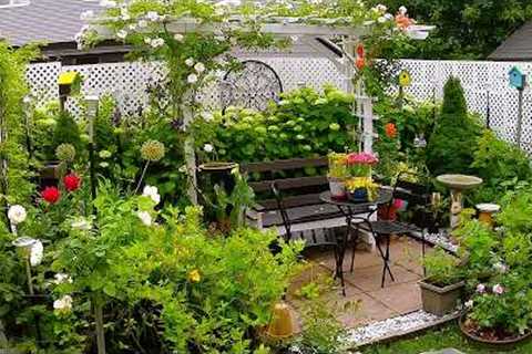 Tiny Backyard Garden Plants and Flowers To Relax | Zone 5A #garden #plants #flowers #new #gardening
