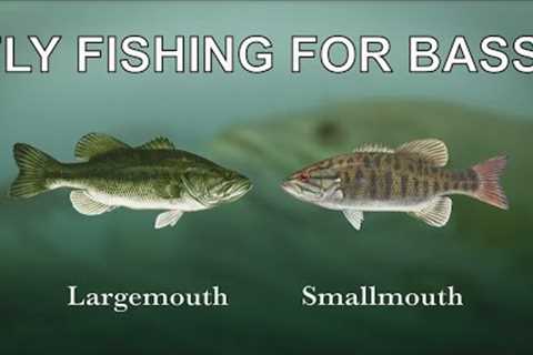 Basics of Fly Fishing for Bass with Tom Rosenbauer