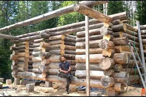 Building a log cabin on the shore of a small forest pond | 3 years of work, the frame is completed