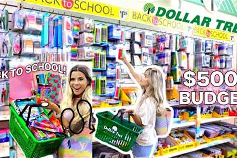 DOLLAR TREE BACK TO SCHOOL SUPPLIES SHOPPING SPREE 2024! *college edition*