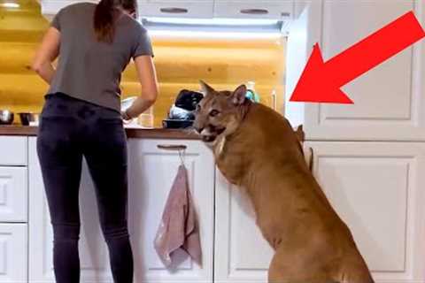 Unusual Animals That People ACTUALLY Own As Pets!