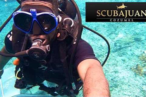 MY BEGINNER SCUBA DIVING LESSONS | NO EXPERIENCE SCUBA DIVING IN MEXICO