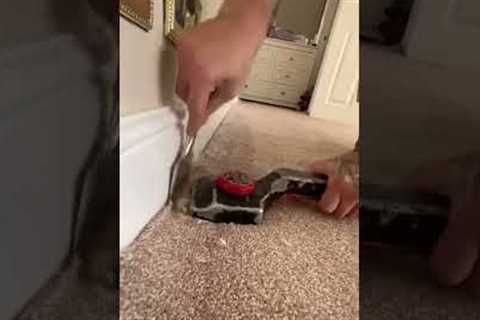 HOW TO STRETCH, TUCK AND SCRUB A CARPET LIKE A PRO #carpet #fitting #homeimprovement #diy #shorts