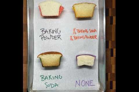 The Difference Between Baking Soda and Baking Powder