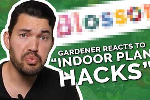 Gardener Roasts Dumb Indoor Gardening Hacks