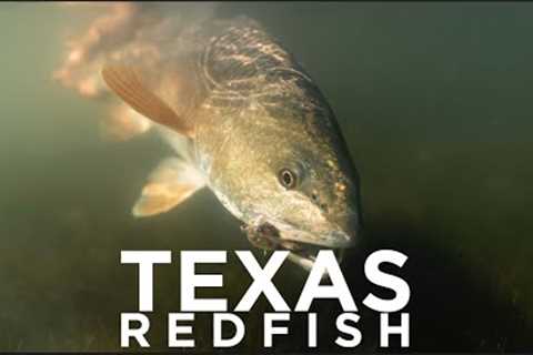 Off The Grid Saltwater Fly Fishing | Camping on Texas Beaches for Redfish with @TheSkiffWanderer