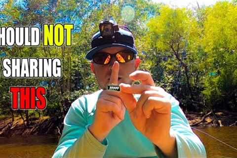 Best Bluegill Bait