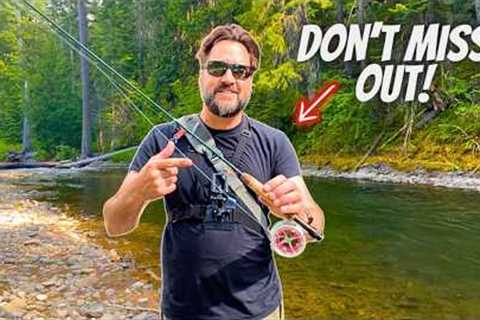Most Fun You'll Have with a Fly Rod