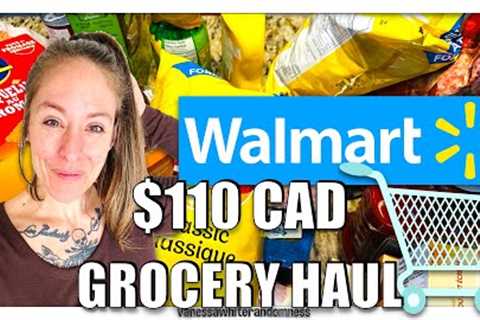 WALMART GROCERY HAUL $110 WITH PRICES | CANADIAN GROCERY HAUL