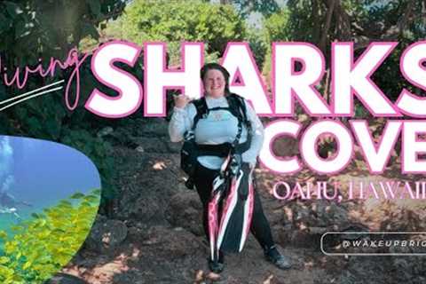 Sharks Cove Shore Dive | Oahu Scuba Diving with April Lauren