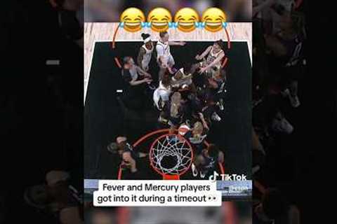WNBA Getting Into It 😂 ! #trending #basketball #andredrummond #nba #wnba #caitlinclark #fight