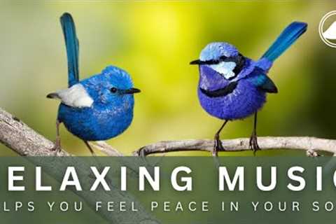 Relaxing Music With Bird Sounds - Healing Music Helps Reduce Stress, Fatigue and Depression
