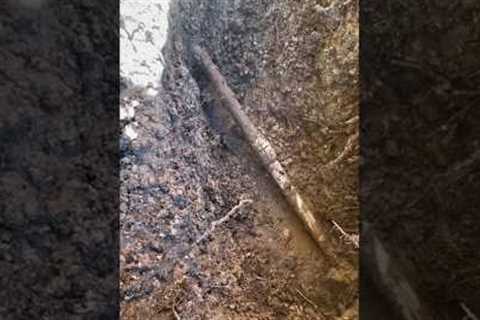 Plumber Fixes Major Water Leak! #plumbing #shorts