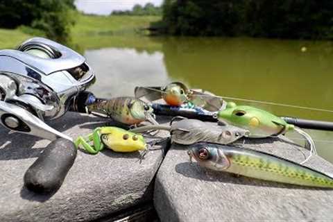 Summer Fishing Lure that NEVER FAILS!!! (Bank Fishing 5 NEW Lakes &amp; Ponds)