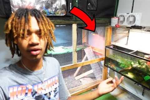 Update On My Crazy Mini Reptile Zoo!!! | Official.Merzy Vlog #222