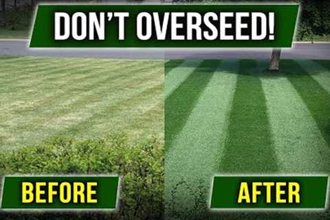 STOP OVERSEEDING! There's a Cheaper Way!!