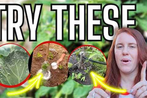 6 Things You MUST Master For A Garden To Survive With Zero Inputs 💰💰