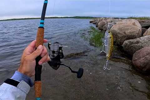 I Traveled 1800 Miles To Fish Here For My Favorite Fish! Fishing and Exploring New Brunswick Canada!