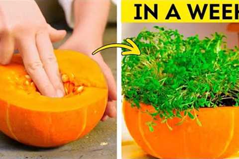 Gardening Hacks: 101 Genius Ideas for Plant Enthusiasts 🌿