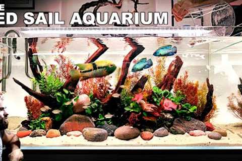 The Red Sail Aquarium 4ft Aquascape Tutorial