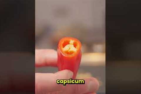 Food hacks to make life 42 times better