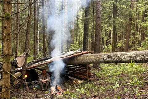 Building a shelter for survival in a wild forest. Escaping from rain and wind far from civilization.