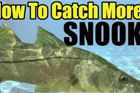 Catch MORE Snook Guaranteed (Florida Saltwater Fishing) Tips For Catching Snook During The Day