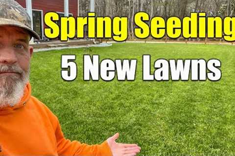 Spring Seeding Lawns Spring Over Seeding