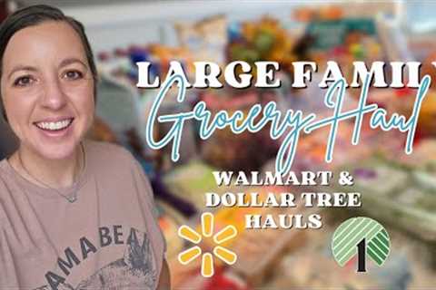 WALMART Grocery Haul  🥕 + Meal Plan | DOLLAR TREE School Supplies 😮✏️