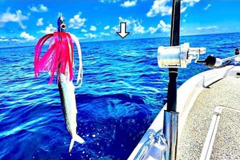 Fishing 60 miles out on a *24ft* Bay Boat for our LUNCH!....[Catch, Clean, Cook]