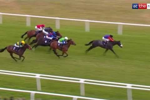 Royal debutant HANDCUFFED makes impressive debut at Newbury!