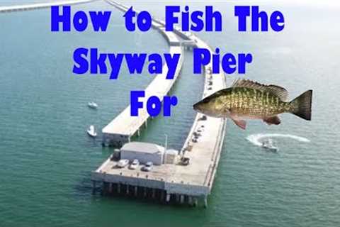 How to FISH The Skyway Fishing Pier!! Beginner's Guide