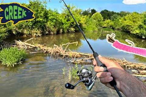 Little Lure Catches EVERYTHING in Tiny Creek